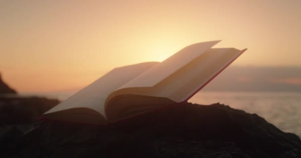 Open book on beach at sunset light. Ocean on the background. - Footage, Video