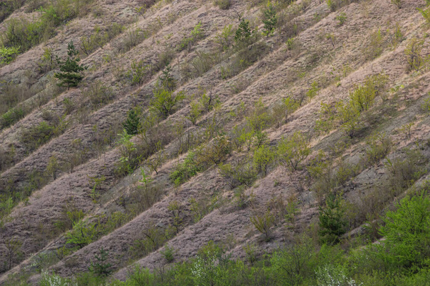 Вид равина, покрытого зеленью. Пейзажная долина с геологическими разломами. Земляные горы и удары рельефа на фоне неба. Луч холма с выступами и углублениями. Трава и деревья на склоне каньона. - Фото, изображение