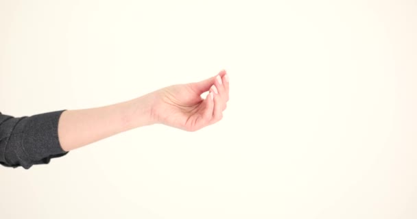 Die Hand der Frau macht Gesten und bittet mit den Fingern auf weißem Hintergrund um Geld. Bitten um Geld und Betrug - Filmmaterial, Video