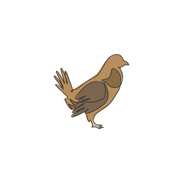 Una línea continua de dibujo del pájaro de urogallo divertido para la identidad del logotipo de la organización. Conducido concepto de mascota de tiro de urogallo para el icono del pájaro juego. Dibujo de una sola línea moderna diseño gráfico vector ilustración - Vector, Imagen