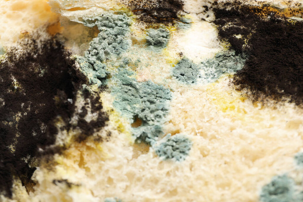 Bread with mold on whole background, close up - 写真・画像