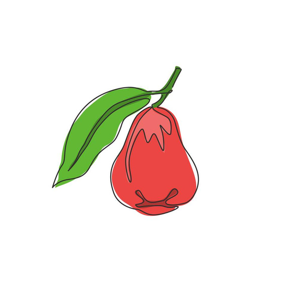 One single line drawing of whole healthy organic bell fruit for orchard logo identity. Fresh rose apple fruitage concept for fruit garden icon. Modern continuous line draw design vector illustration - Vector, Image