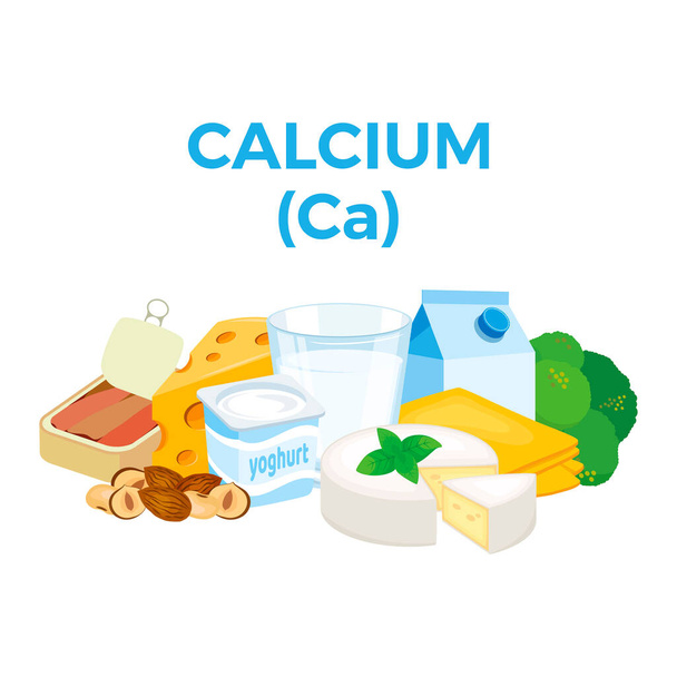 Kalsium (Ca) elintarvikkeiden kuvakevektorissa. Kalsium elintarvikkeiden lähteet vektori kuva eristetty valkoisella pohjalla. Maitoa, juustoa, jogurttia, hasselpähkinävektoria. Kasa terveellistä tuoretta ruokaa piirustus - Vektori, kuva