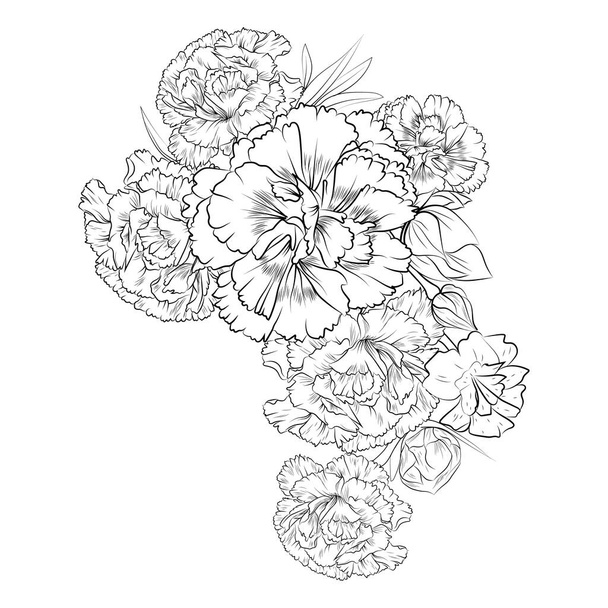 Szegfű virág vektor illusztráció egy gyönyörű virág csokor, kézzel rajzolt kifestőkönyv művészi, virágos virágok szegfű vésett tinta művészet tetoválás design. - Vektor, kép