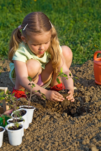 Little girl planting seedlings - Photo, Image