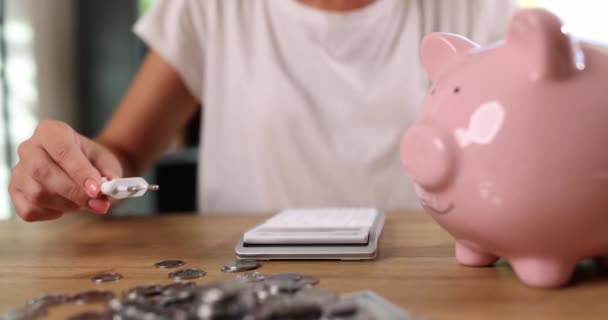 Hands connect an electric cable to the piggy bank, close-up, slowmotion. Alternative energy, saving electricity - Metraje, vídeo