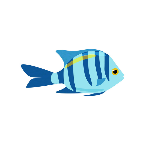 Decorative blue striped sea fish. Vector marine fish isolated on white background - Vetor, Imagem