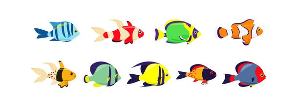 Set of marine exotic fishes on a white background. Collection Aquarium vector fish isolates. Sea fish. Vector illustration. - Vector, Image