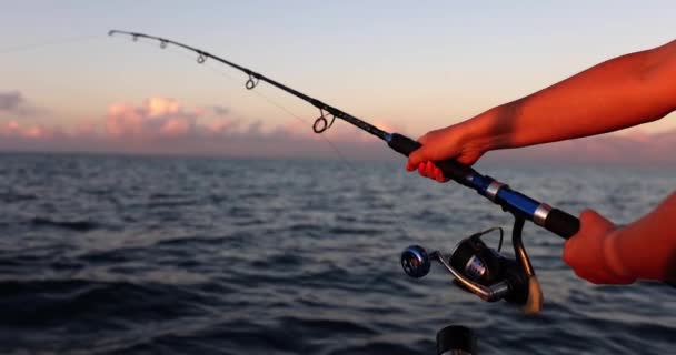 Young female hands at sea with a fishing rod, close-up. Beautiful view of nature, hobby to catch fish - Video