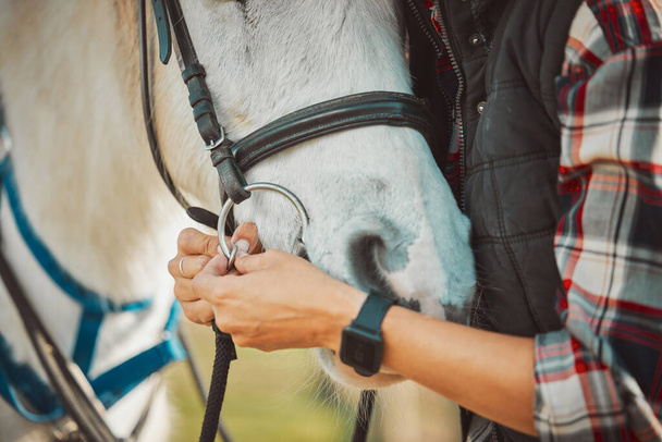Horse, riding and equestrian with person and saddle up animal outdoor, ranch in countryside and sports. Luxury, hands and pet closeup, fitness and nature, rider or jockey for training for competition. - Photo, image