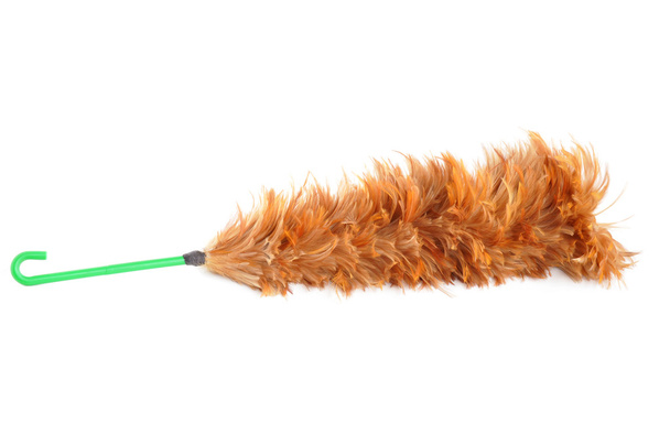 Malay feather duster in Mom used