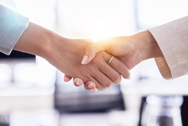 B2B partnership, support or business people handshake for welcome, collaboration or company teamwork, success and innovation. Zoom, trust or women shaking hands for deal, thank you or job promotion. - Zdjęcie, obraz