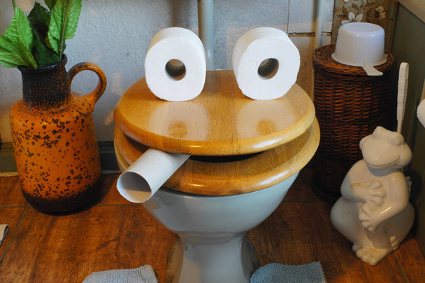 Cara humorística creada a partir de un asiento de inodoro de madera y rollos de papel higiénico en el baño - Foto, Imagen