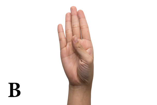 Finger Spelling the Alphabet in American Sign Language (ASL). The Letter B - Photo, Image