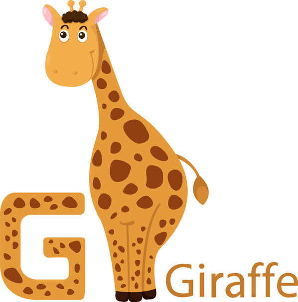 Ілюстрація ізольованої абетки тварин G для жирафа
 - Вектор, зображення