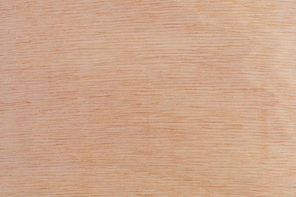 Superfície cortada texturizada áspera clara de uma árvore africana. Fundo de madeira ou em branco para design. Um recurso gráfico ou underlay para texto ou rótulos. - Foto, Imagem