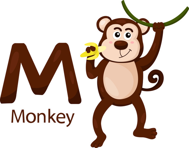 Ilustrador de M com macaco
 - Vetor, Imagem