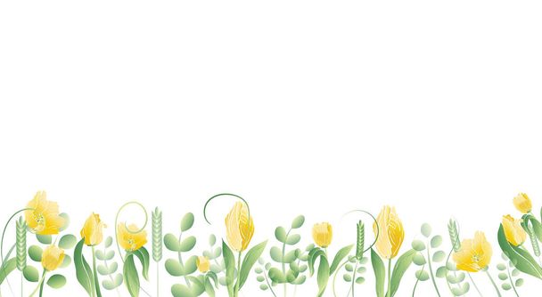 Tavaszi finom tulipánok és fűdekoráció. Üdvözlet, keretek, meghívók, hátterek, web, képeslapok, szerkesztés. - Fotó, kép