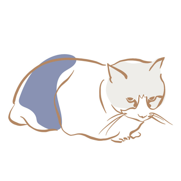 Sketchy resting cat vector illustration - ベクター画像