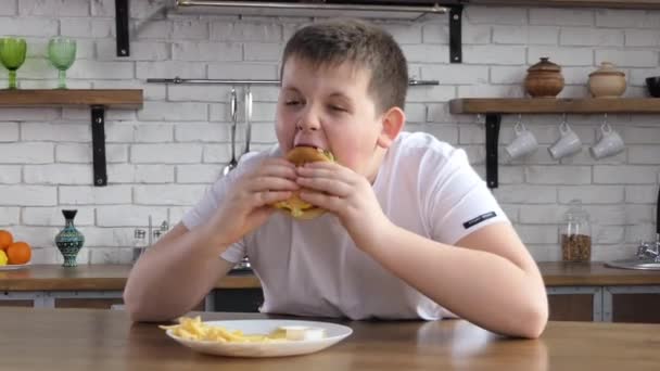 Fat asian boy eating junk food, hamburger, french fries. - Felvétel, videó