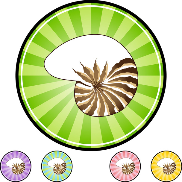 Seashell web icon - Vettoriali, immagini