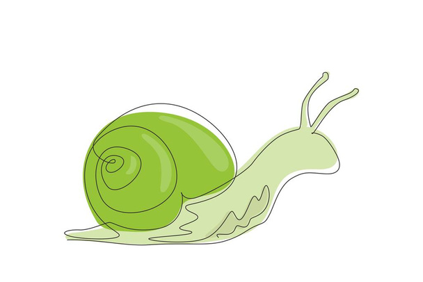 Continuous one line drawing common garden snail crawling. Snail animal mascot for food logo identity. High nutritious escargot healthy food concept. Single line draw design vector graphic illustration - Vector, Image