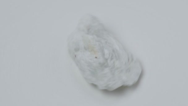 Macro stone albite mineral white background close up. Aquamarine on Albite - Footage, Video