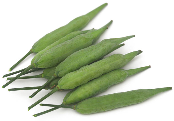 Зеленые горчичные бобы на белом фоне - Фото, изображение