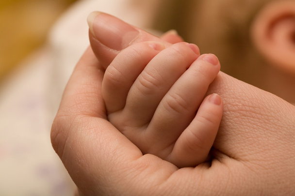 Mãe e bebê mãos
 - Foto, Imagem