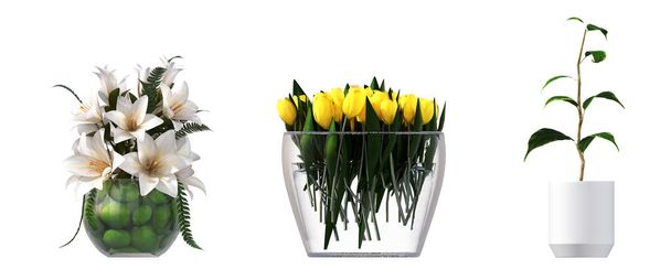 flores y plantas decorativas para el interior, aisladas sobre fondo blanco, ilustración 3D, renderizado cg - Foto, Imagen