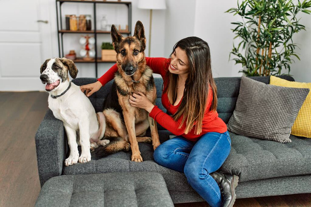 Giovane donna che abbraccia cani seduti sul divano a casa - Foto, immagini