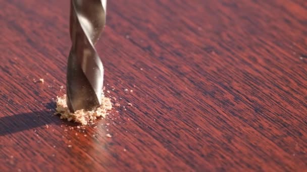 240 fps super slow motion, drill, drill wood and shavings. Carpentry works. - Video, Çekim