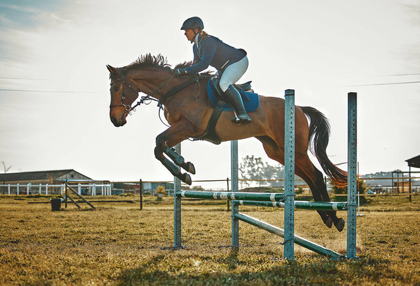Training, jump and woman on a horse for sports, an event or show on a field in Norway. Equestrian, action and girl doing a horseback riding course during a jockey race, hobby or sport in nature. - Fotoğraf, Görsel