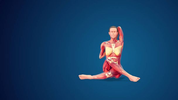 3D menselijke Gomukhasana of koe geconfronteerd yoga pose op blauwe achtergrond - Foto, afbeelding