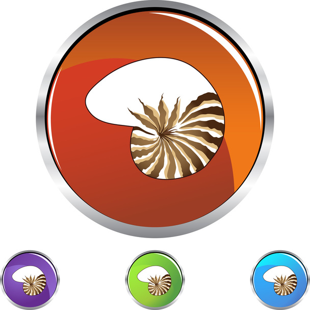 Seashell web icon - Vektör, Görsel