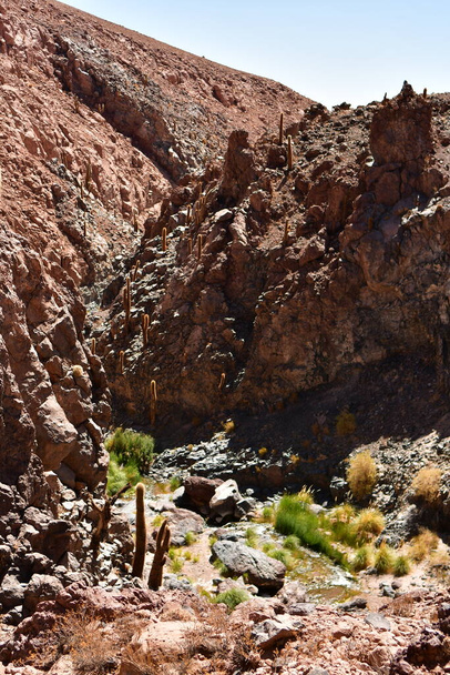  Guatin Canyon Altiplano San Pedro de Atacama Chile. High quality photo - Photo, Image