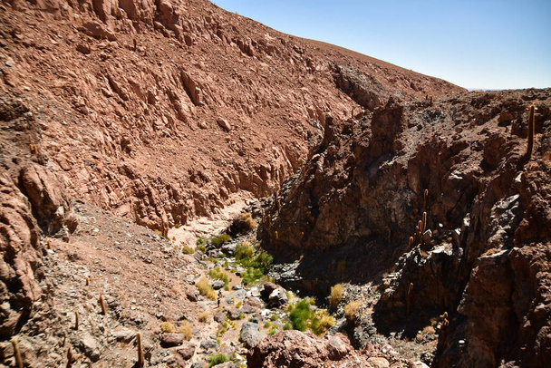  Guatin Canyon Altiplano San Pedro de Atacamaチリ。高品質の写真 - 写真・画像