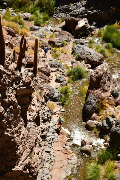  Guatin Canyon Altiplano San Pedro de Atacamaチリ。高品質の写真 - 写真・画像