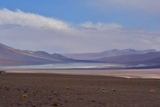 サラーデタラロスフラメンコス国立保護区チリ南アメリカ。高品質の写真 - 写真・画像