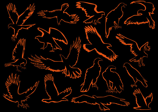 黒とオレンジの鷲のシルエット - ベクター画像