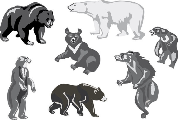 seven bears isolated on white - Vector, Image