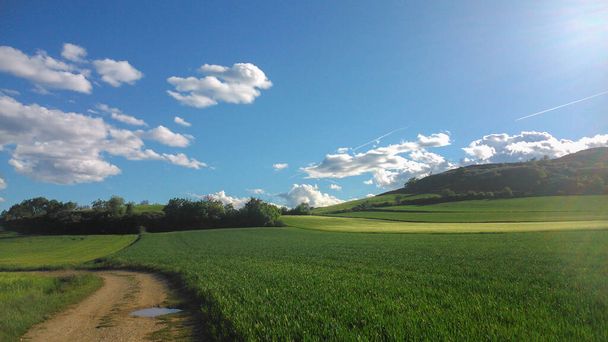 Countryside landscape with some clouds - Zdjęcie, obraz