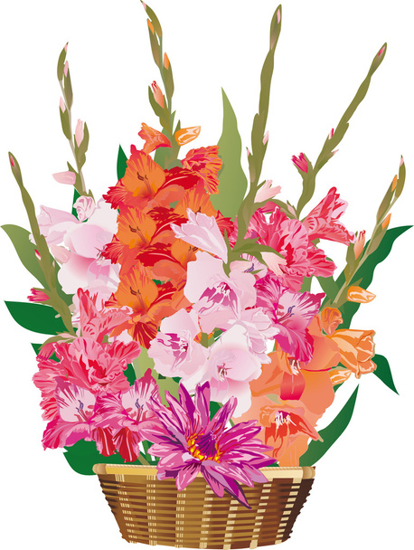 Γλαδιόλα λουλούδια σε καλάθι - Διάνυσμα, εικόνα