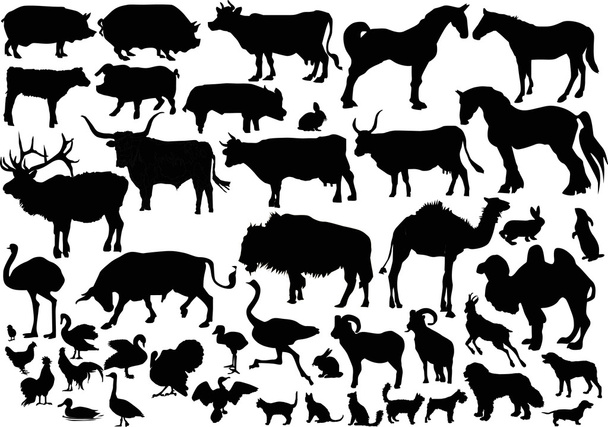 collection of farm animals silhouettes - Vector, Image