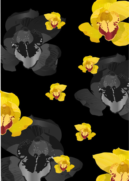 Sarı orkide çiçekleri arka plan - Vektör, Görsel