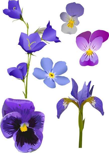blue flowers collection isolated on white - Vector, Image