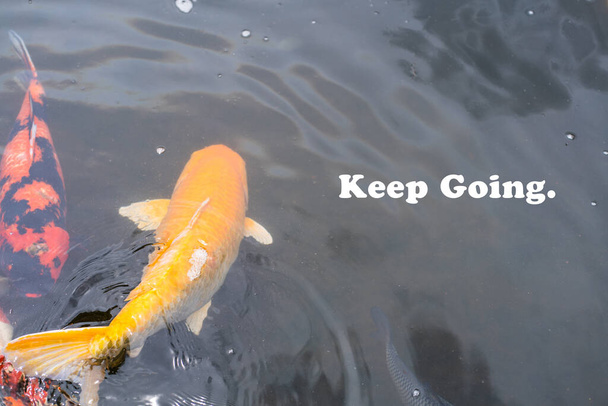 Motivational quote - Keep going. With a yellow fish swimming underwater - Foto, afbeelding