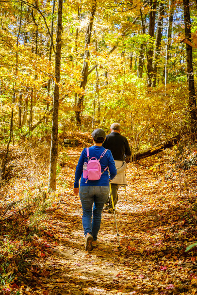 Senior couple is hiking in the woods in North Carolina in fall - Foto, Bild