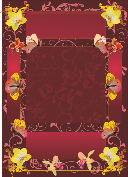 frame with orchids and butterflies - Vecteur, image