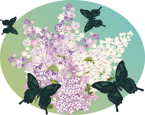 lilac flower branch and dark butterflies - Vector, Image